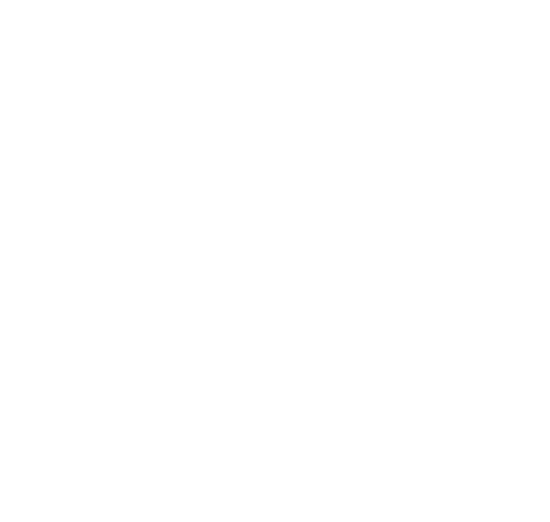 Team Roque